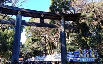 Tokio – Qué no perderte en esta fascinante ciudad